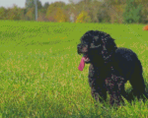 Happy Black Cockapoo Dog Diamond Painting