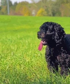 Happy Black Cockapoo Dog Diamond Painting