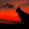 Lonely Cat Silhouette At Sunset Diamond Painting