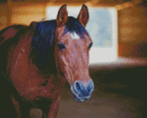 Old Brown Horse In A Barn Farm Diamond Painting