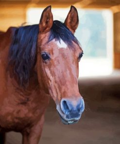 Old Brown Horse In A Barn Farm Diamond Painting