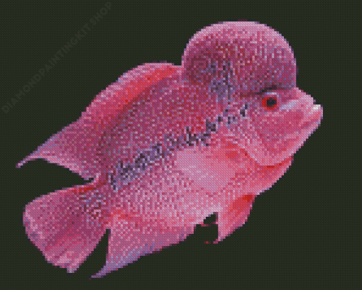 Pink Flowerhorn Fish Diamond Painting