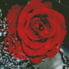 Red Rose Water Diamond Painting