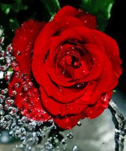 Red Rose Water Diamond Painting