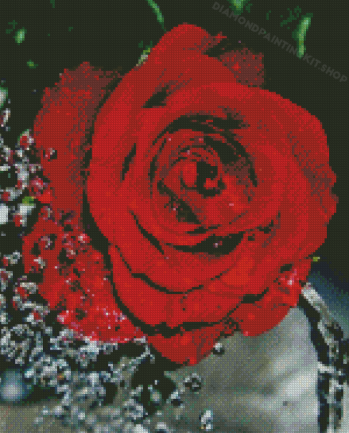 Red Rose Water Diamond Painting