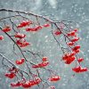 Rowan Berries In Snow Storm Diamond Painting