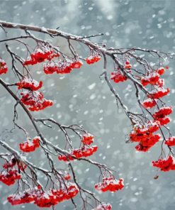 Rowan Berries In Snow Storm Diamond Painting