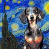 Starry Night Dachshund Diamond Painting