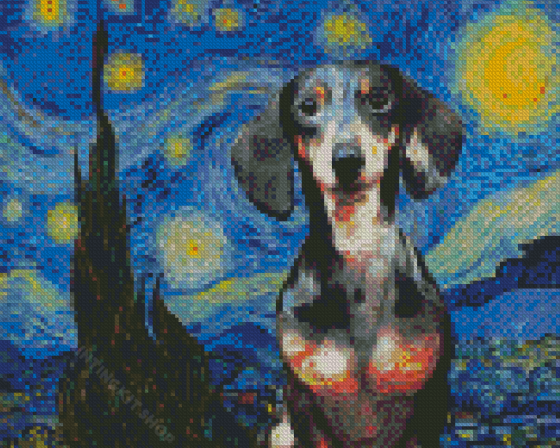 Starry Night Dachshund Diamond Painting