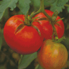 Tomato Plant Diamond Painting