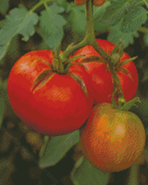 Tomato Plant Diamond Painting