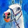 White Cob Diamond Painting