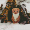 Weasel Animal In Snow Diamond Painting