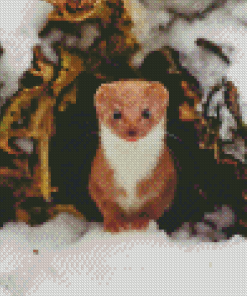 Weasel Animal In Snow Diamond Painting