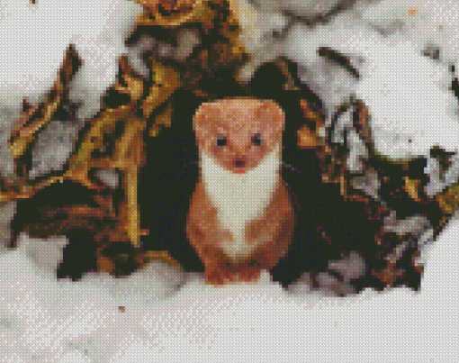 Weasel Animal In Snow Diamond Painting