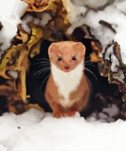 Weasel Animal In Snow Diamond Painting