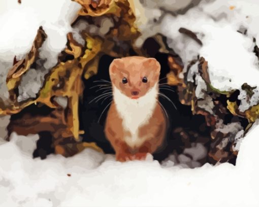 Weasel Animal In Snow Diamond Painting