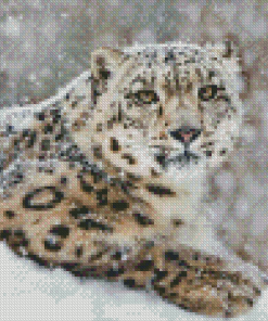 White Tiger Animal In Snow Diamond Painting