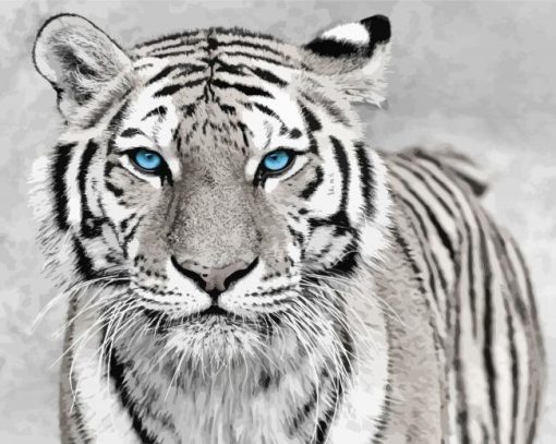 White Tiger With Blue Eyes Diamond Painting