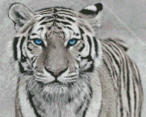 White Tiger With Blue Eyes Diamond Painting