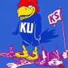 Aesthetic Kansas Jayhawks Diamond Painting