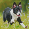 Aesthetic Smooth Collie Diamond Painting