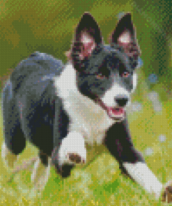 Aesthetic Smooth Collie Diamond Painting