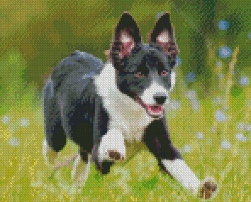 Aesthetic Smooth Collie Diamond Painting