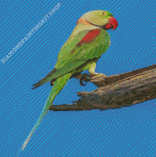 Alexandrine Parrot Diamond Painting