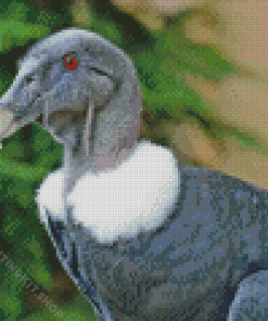 Andean Condor Diamond Painting