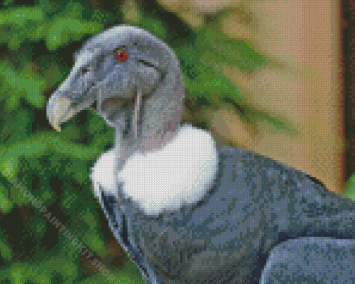 Andean Condor Diamond Painting