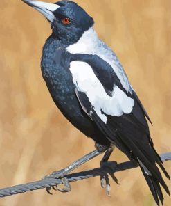 Australian Magpies Diamond Painting