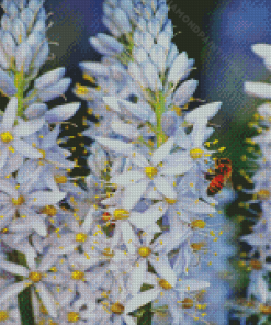 Bee On White Hyacinth Diamond Painting