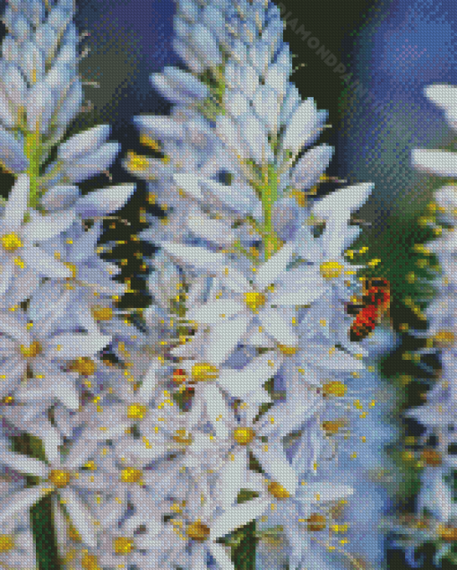 Bee On White Hyacinth Diamond Painting