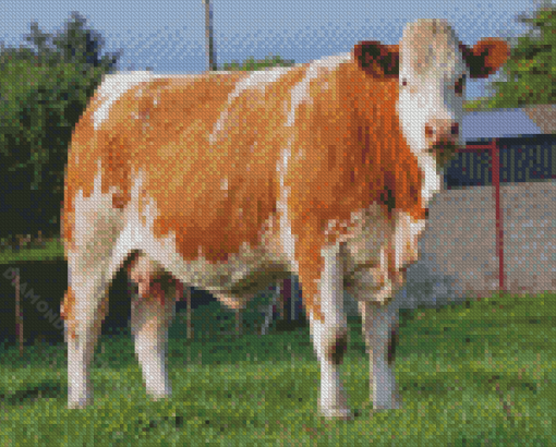 Brown Simmental Cattle Animal Diamond Painting