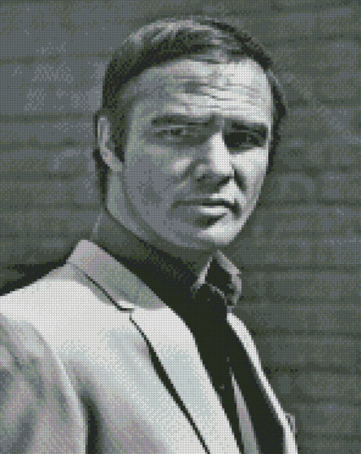 Burt Reynolds Black And White Diamond Painting