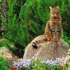 Cat In A Garden Diamond Painting