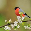 Chaffinch On Flowering Tree Diamond Painting