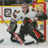 Chicago Blackhawks Goalie Diamond Painting