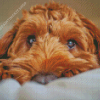 Brown Cockapoo Diamond Painting