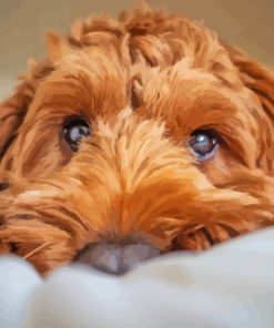 Brown Cockapoo Diamond Painting