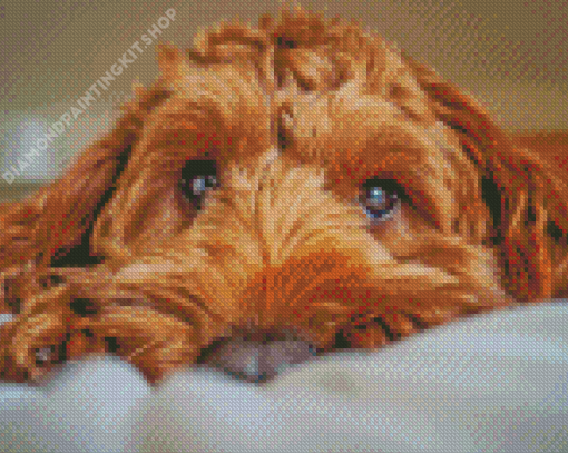 Brown Cockapoo Diamond Painting