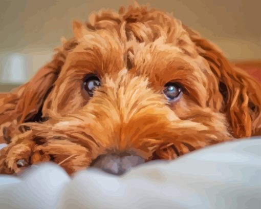 Brown Cockapoo Diamond Painting