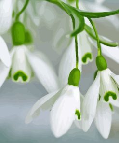 Snowdrops Diamond Painting