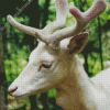 White Deer Diamond Painting