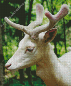 White Deer Diamond Painting