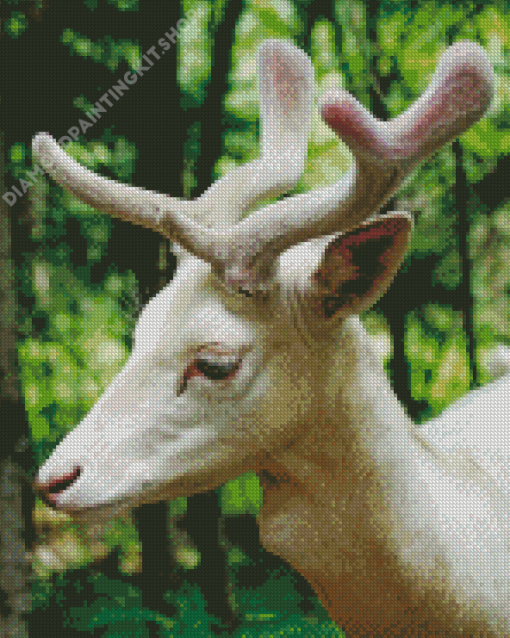 White Deer Diamond Painting