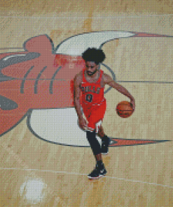 Coby White Chicago Bulls Team Diamond Painting