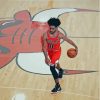 Coby White Chicago Bulls Team Diamond Painting