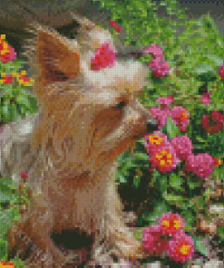 Yorkshire Terrier And Pink Flowers Diamond Painting